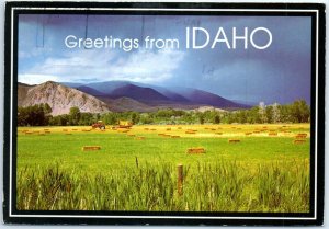 M-86806 Harvest on the Farmlands Greetings From Idaho