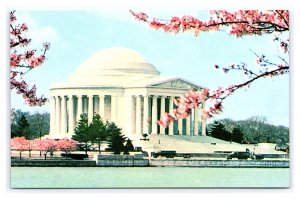 Jefferson Memorial Cherry Blossom Setting Washington D. C. Postcard