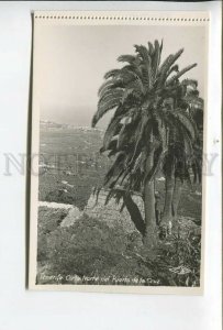 438064 Spain Tenerife Vintage photo postcard