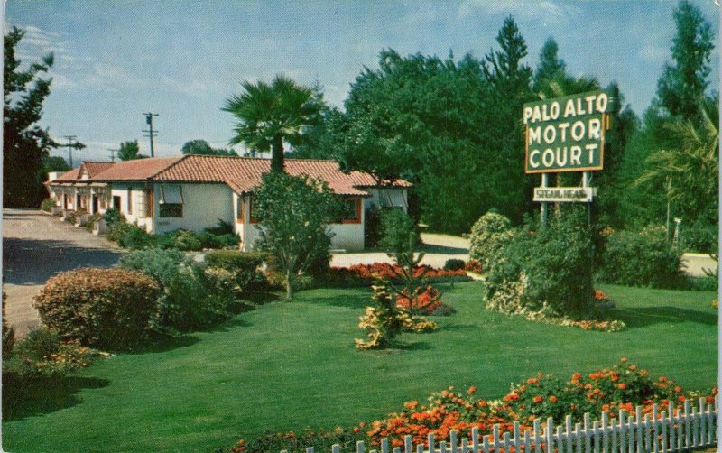 PALO ALTO, CA California    Palo Alto MOTOR COURT    c1940s   Roadside  Postcard