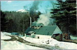 Maple Sugar Time in Vermont Vintage Chrome Postcard Y14