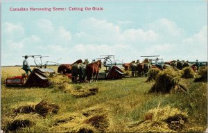 Canadian Harvesting Scene Cutting Grain Farming Western Canada Postcard H41