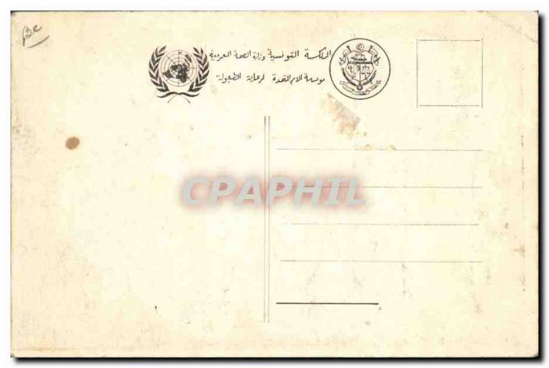 Old Postcard Fantasy Illustrator Fly Blind Eye Disease