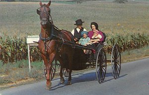 An Amish Family with their Horse and Buggy on a Sunday Afternoon Lancaster, P...