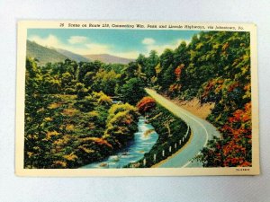 Johnstown PA Scene Rt 219 Connecting Wm Penn & Lincoln Highways Vintage Postcard