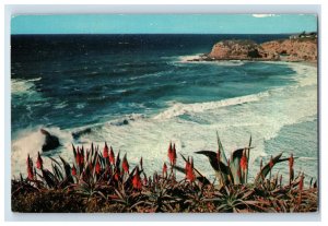 Vintage Three Way Arch Bay California. Postcard P71E