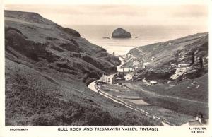 Tintagel England Gull Rock and Trebarwith Valley Real Photo Postcard J75155