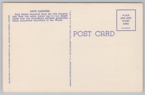 Linen~Date Grove On The Desert~Vintage Postcard