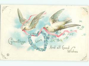 Divided-Back BIRDS SCENE Pretty Postcard AA8737