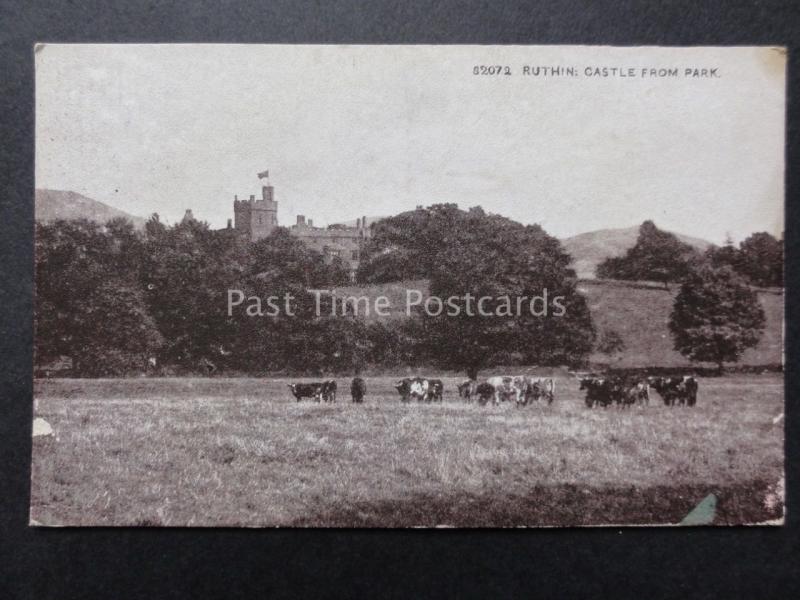 North Wales: Ruthin Castle from Park - Old Postcard