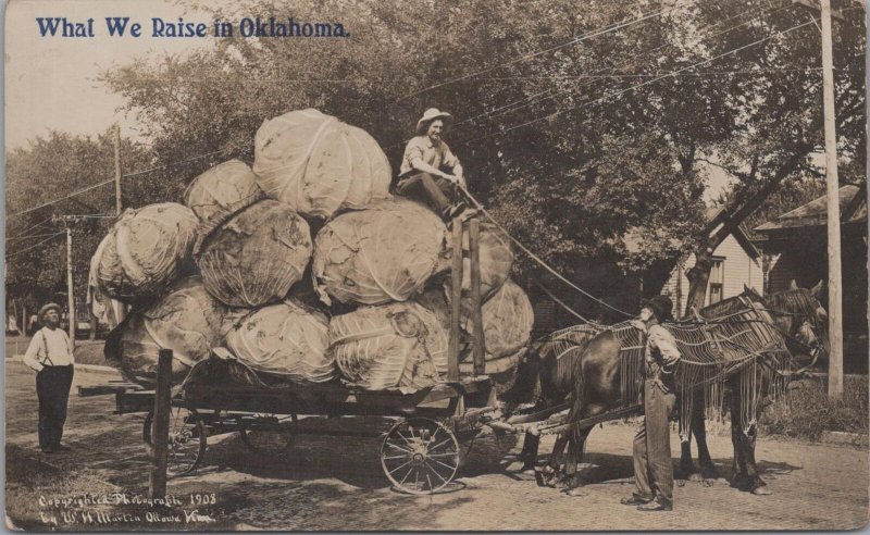 RPPC Exaggeration Postcard What We Raise in Oklahoma Giant Lettuce