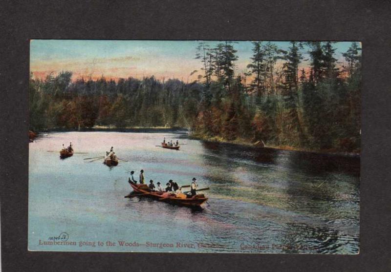 ON Lindsay Lumbering Forestry Sturgeon Point Lake Ontario Carte Postale Postcard