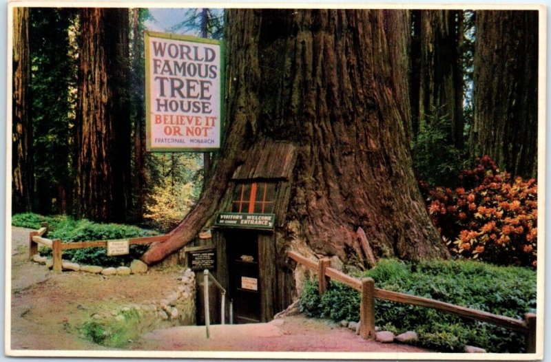 Postcard - World Famous Tree House, Tree House Park - Piercy, California