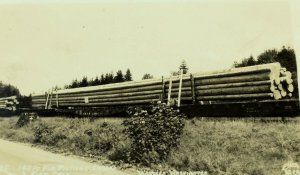 Vintage RPPC 140 Ft Long Fir Pilings on C & NW Railroad Car Photo Postcard P72