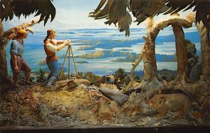 Norwood Surveying Bermuda Bermuda Postcard