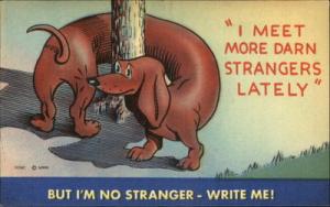 Dog Dachshund Hound Wrapped Around Pole Comic Postcard