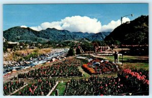 BOQUETE, Chiriqui Panama ~ Grounds of FLOWER & COFFEE FESTIVAL c1960s  Postcard