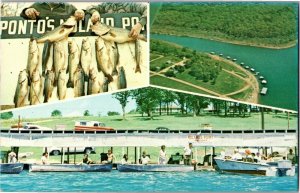 Multi View Ponto's Noland Point Resort Ocie MO Vintage Postcard R36