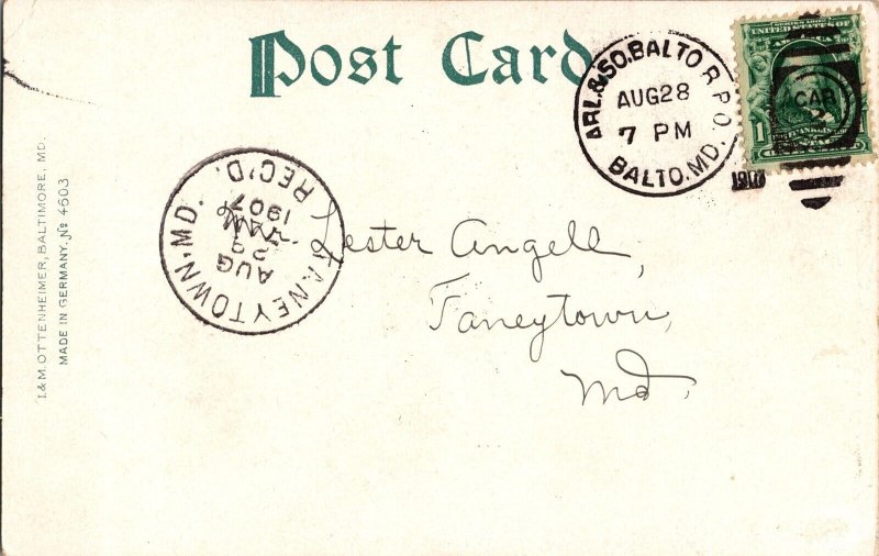 Baltimore City Hospital, College of Physicians Surgeons UDB Vintage Postcard N58