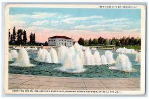 c1920 New York City Water Supply Chamber Catskill Mountains New York NY Postcard