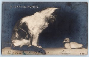 Dekalb Illinois IL Postcard RPPC Photo Cute Cat Kitten And Duckling c1905