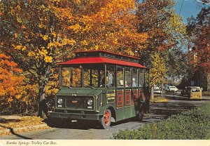 Eureka Springs trolley system Eureka Springs, RFI, USA Bus Unused 