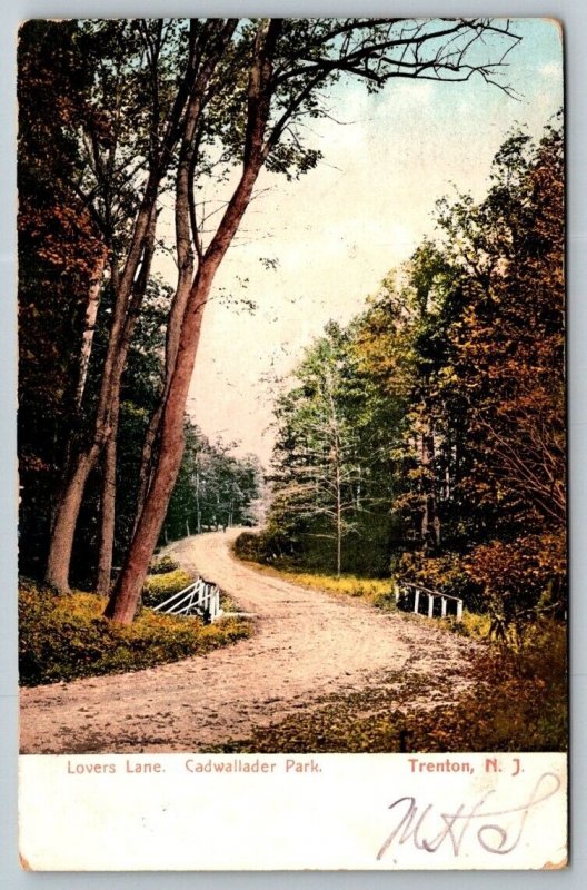 Lovers Lane  Cadwallader Park  Trenton  New Jersey   Postcard  1907