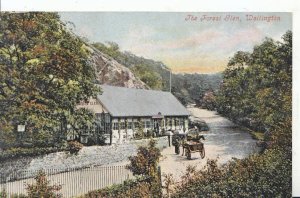 Shropshire Postcard - The Forest Glen - Wellington - Ref 6217A