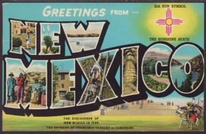 Greetings From New Mexico Postcard BIN