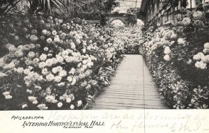 Vintage Postcard 1906 Interior Horticultural Hall Fairmount Park Philadelphia PA