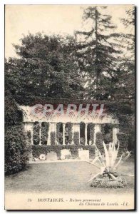 Old Postcard Montargis Ruins from the Chateau de Lorris