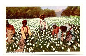 Cotton Pickers