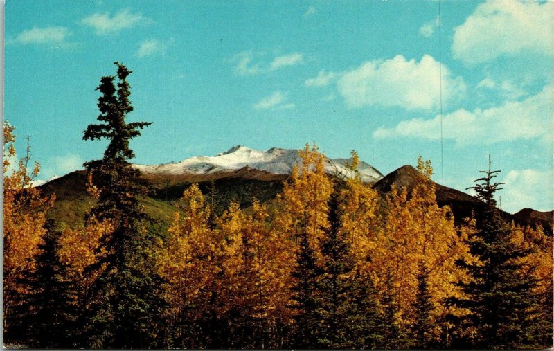 Mount McKinley National Park Alaska AK Sugar Mountain Snow Capped Postcard Mirro 