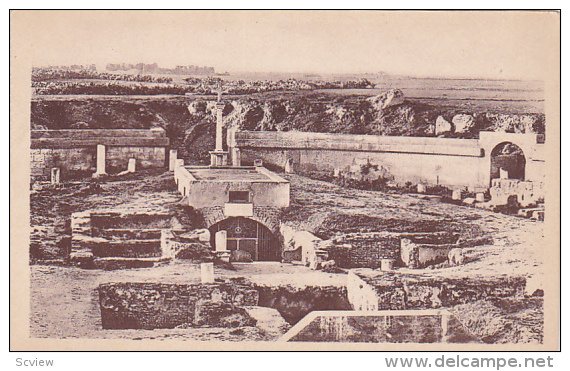 Carthage , Tunis , Tunisia , L'Amphitheatre , 00-10s