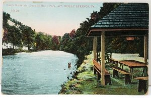 Mt Holly Springs South Mountain Creek at Holly Park Picnic Pavilion Postcard F8