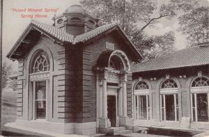 Poland Maine Mineral Spring House Street View Antique Postcard K84116