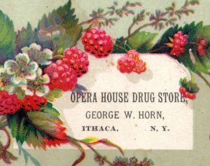 1880s George W. Horn Opera House & Drug Store Lot Of 2 F188