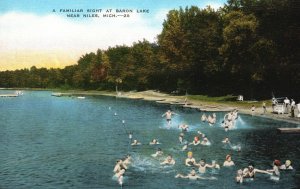 Vintage Postcard A Familiar Sight Bathing At The Baron Lake Near Niles Michigan