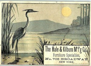 1880's The Hale & Kilburn Mfg. Co. Unique Odorless Commode Lake Crane Moon P147