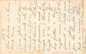 Burro Train Hauling Wood 1910c Phostint postcard 