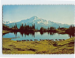 Postcard Glacier Peak And Image Lake, Glacier Peak Wilderness Area, Washington