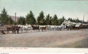 Wool Train , Out West , USA , 00-10s