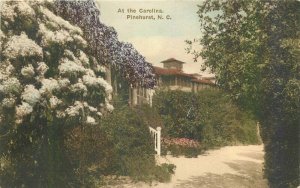 Albertype Carolina Pinehurst North Carolina hand colored 1920s Postcard 20-1568