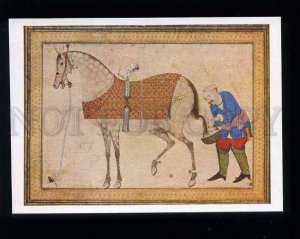 d180179 INDIA Horse & groom old postcard