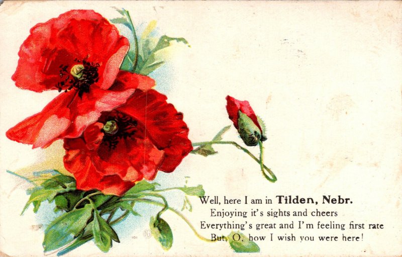 Nebraska Tilden Well Here I Am With Flowers 1909