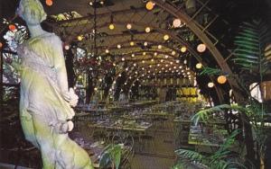 Florida Clearwater The Kapok Tree Inn The Florida Room