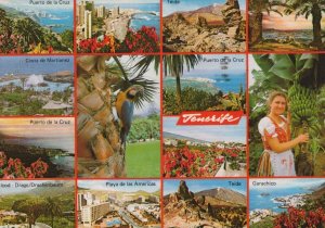 Spain Postcard - Views of Tenerife    RRR69