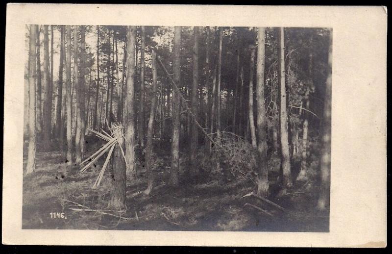 Artillery Damage in the Forest RPPC unused c1916