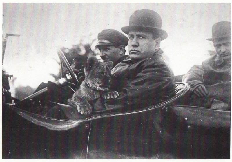 Mussolini With Aldo Finci Pet Tiger Cub Lion Fascism Art Photo Postcard