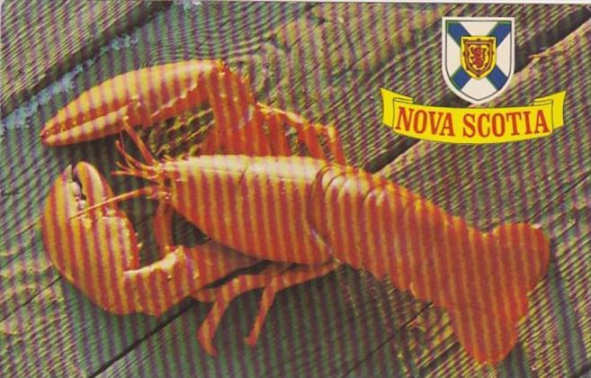 Canada Nova Scotia Where Lobster Is King